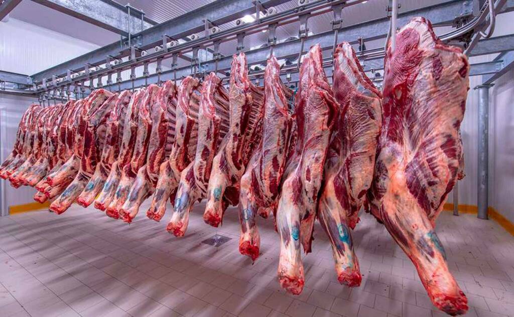 استقرار أسعار اللحوم بمحلات الجزارة ومنافذ الزراعة ووطنية 7 أغسطس 2025